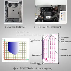 Mold Incubator Latest Price, Culture Detection Safe and Effective thumbnail-2