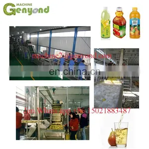 Mini Fruit Juice Making Machine thumbnail-2