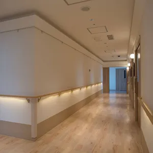 Japanese Style Hospital Corridor Handrails, Anti-collision Handrails, Wall Handrails，Japanese Nursing Home Handrails thumbnail-3