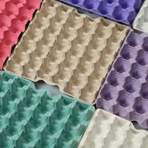 Automatic Egg Tray Egg Carton Production Line thumbnail-2