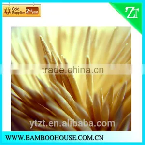 Cello Wrapped Toothpicks Wholesale thumbnail-1