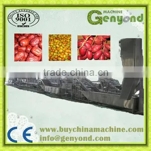 Red Dates Processing Line thumbnail-1