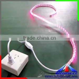 AC110V Magenta LED Strip thumbnail-6