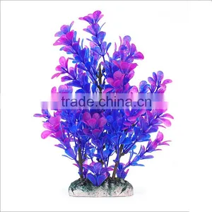 Zhongshan Maxware Wholesale Aquarium Aquatic Plants thumbnail-6