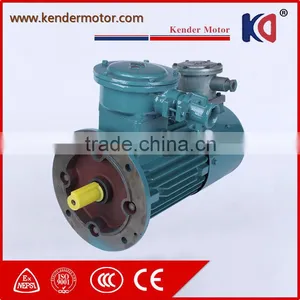 Hot Sale Anynchronous AC Electric Motor With Large Machine thumbnail-1