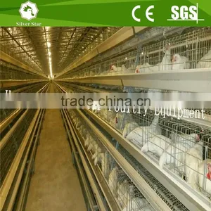 Full Automatic Chicken Equipment Poultry Farming Shed thumbnail-4