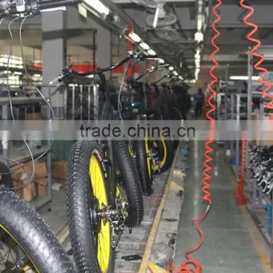 Import Chinese ce Fat Tire Electric Bike for Exercise thumbnail-3