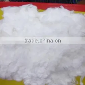 100% Bleached Pure Absorbent Medical Cotton Comber Noil thumbnail-1