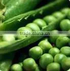 Dried Green Pea thumbnail-1