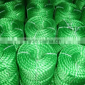 Polyethylene Monofilament Rope and Twine of Hdpe Rope thumbnail-6