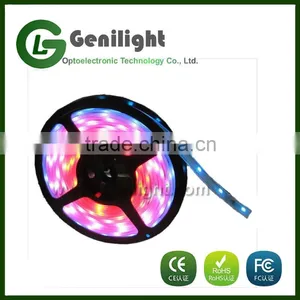 Led Strips 5m Flexible thumbnail-1