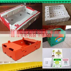 Plastic pp Seafood Corflute Box thumbnail-2