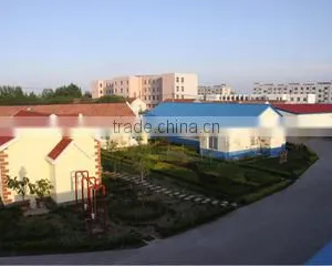 Changyi Longhai Flag Industry Co., Ltd. company overview - view 2 thumbnail