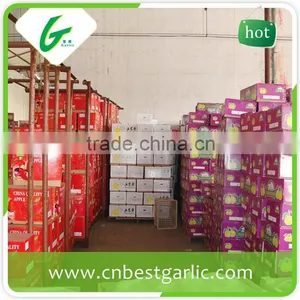 Boxing Fresh Shandong Pear thumbnail-6