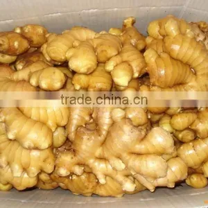 Fresh Ginger thumbnail-1