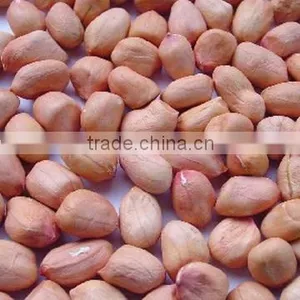 Red Peanut Kernel New Season thumbnail-1