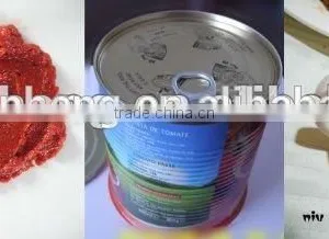 70G-4500G China Hot Sell Price Canned Tomato Paste 28-30%brix Plant thumbnail-4