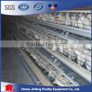 Professional Manufacture Design Poultry Layer Chicken Cages thumbnail-1