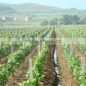 Bulk Packing Polyester Wire thumbnail-6
