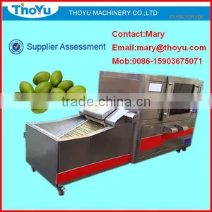 Olive Core Separating/Remover/ Seed Extracting Machine/ Separator/ Separating Machine(SMS: 0086-15903675071) thumbnail-1
