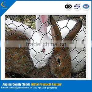 /Hot Sale Chicken Wire Netting/ Hexagonal Wire Netting/ Poultry Mesh/lowest Price/highest Quality thumbnail-3