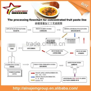 Hot Hot Full Automatic Industrial Passion Fruit Sauce Maker Machine High Viscosity Production Line Passion Fruit Paste thumbnail-5