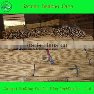 House Product Bamboo thumbnail-1
