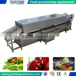 Bubble Type Vegetable Leaf/Spinach/ Washing Machine/Cleaning Machine/Washer thumbnail-1