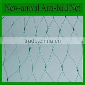 Hdpe Agricultural Bird Netting, Plastic Garden Bird Catch Net for Sale thumbnail-4