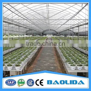 Galvanized Steel Frame Agricultural Greenhouse For Sale thumbnail-2