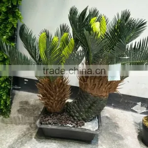 HX20170416 Mini Potted Cycad Tree for Decoration thumbnail-1