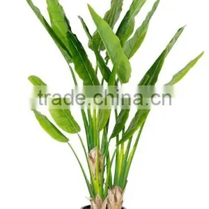 Brand Name Artificial Bonsai Artificial Travellers Tree Decor thumbnail-4