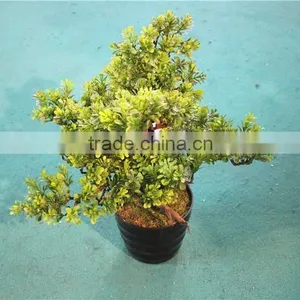 Home Garden Decoration 50cm to 160 cm Hight Small Indoor Canadian Artificial Green Pot Plastic Similar Pine Trees ELSPZ02 0901 thumbnail-5