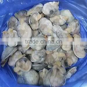 Frozen Half-shell Huge Clam Nature Fresh No Additives thumbnail-3