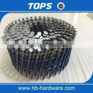 Stainless Steel Screw Wire Coil Nail thumbnail-1