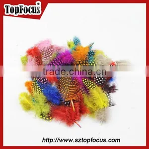 Cheap Dyed Guinea Fowl Wholesale Artificial Feathers for Carnival Costumes thumbnail-1