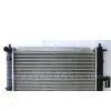 Radiator (YB-033) thumbnail-1