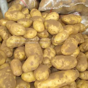 Fresh Potato thumbnail-3