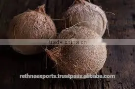Tasty and Healthy Cocnut From India thumbnail-4