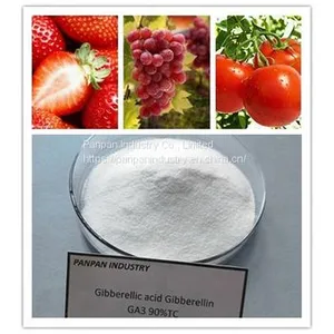 Supply Agrochemical Gibberellic Acid Ga3 90%tc for Sale With Price thumbnail-2