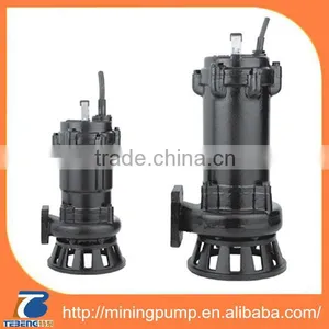 Small Sewage Pump, Electric Submersible Sewage Pump, Sewage Submersible Pumps thumbnail-1