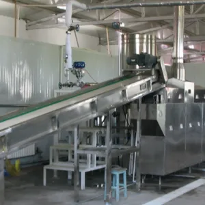Automatic Frozen Fruit & Vegetable Processing Line Frozen Asparagus Production Line thumbnail-4
