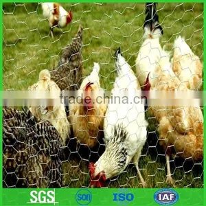 China Supplier Black Chicken Wire Mesh Factory Price (manufacture and Export) thumbnail-1