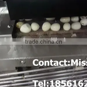 Quail Egg Shell Broken Machine thumbnail-2