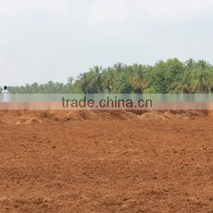 Coir Pith From South India. thumbnail-1