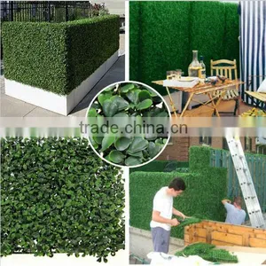PE Material and Artificial Topiary Hedge Plant Type Outdoor Artificial Boxwood Hedge Quality Choice thumbnail-6