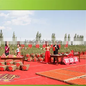 Attractive Bulk Goji Berries thumbnail-2