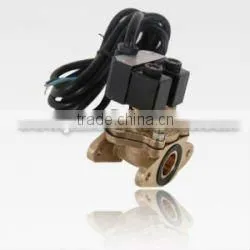 Magnetic Valve / Fuel Dispenser Solenoid Valve / Casting Solenoid Valve / Solenoid Valve thumbnail-1