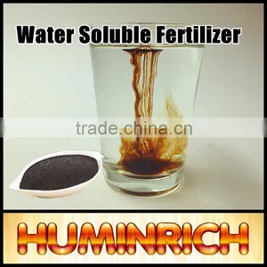 Huminrich Shenyang Plant Growth Regulator 75HA+15FA+12K2O Soil Microbe thumbnail-3