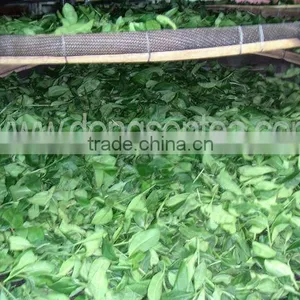 Viet Nam Famous Black Tea thumbnail-5